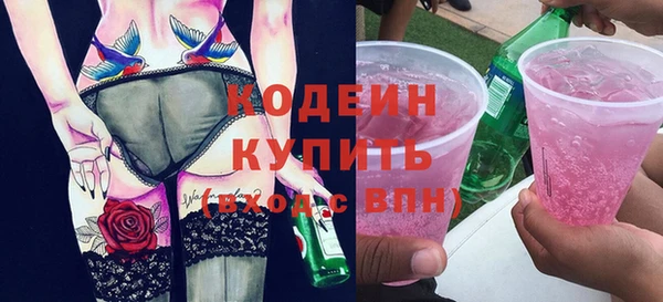 дмт Вяземский