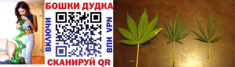 Бошки марихуана планчик  Заречный 